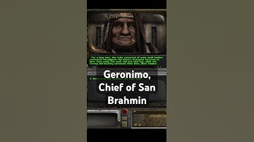 San Brahmin in Fallout 2 Sonora #fallout #fallout2 #falloutsonora