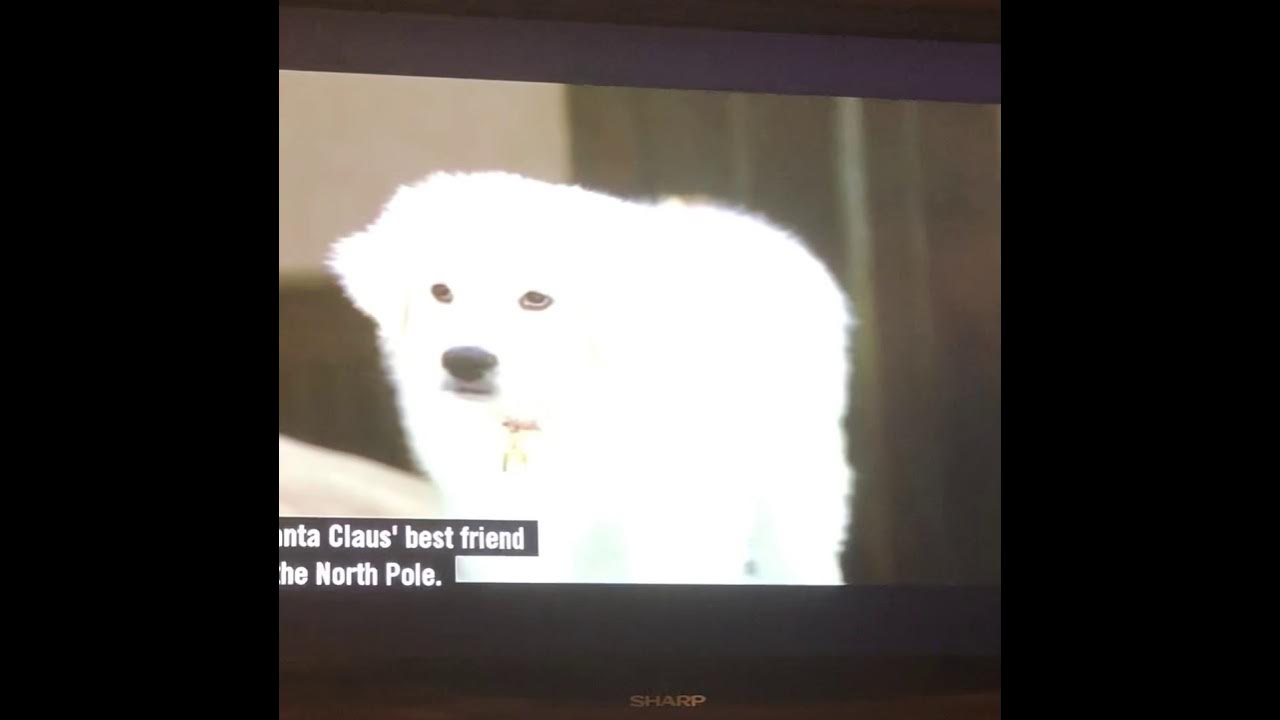 The Search For Santa Paws I Do Believe In Christmas The Search for Santa Paws- I do believe in Christmas - YouTube