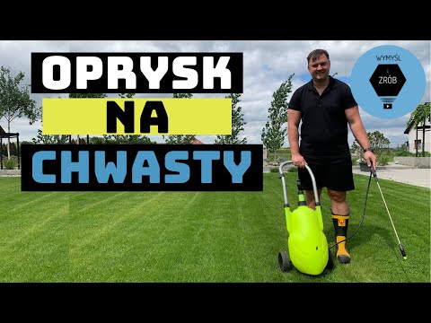 Wideo: Czy powinienem sprzedać moje kępy chwastów?