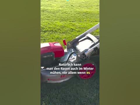 Wann kann man den Rasen im Winter mähen? ☝️winter foryou allett 
