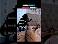 Ranking Funniest Jumpscare Moments