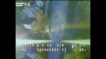 Savage for Breakfast