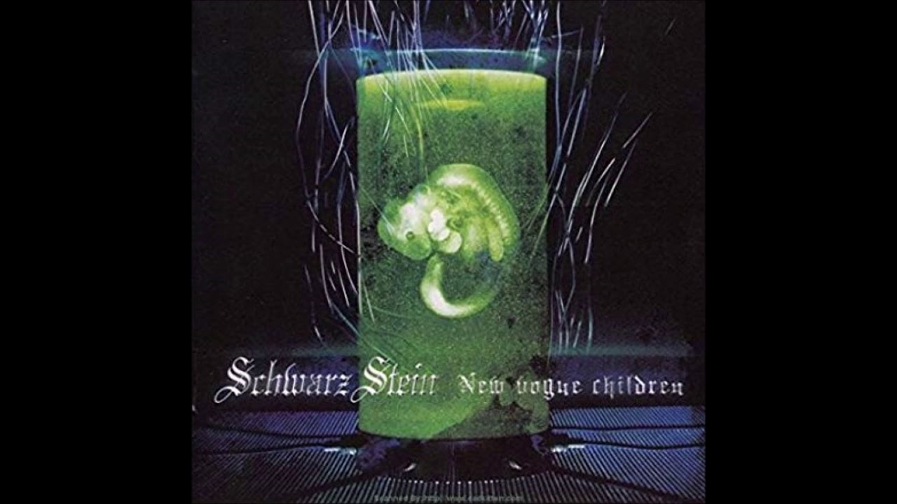 Schwarz Stein Rise to Heaven