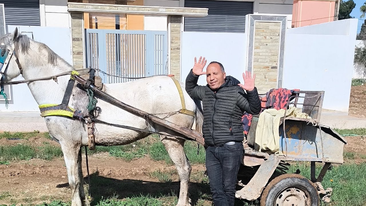 حميد طكطيوك خوت اللي بغا عوده ديال الجران عندنا الهمزه