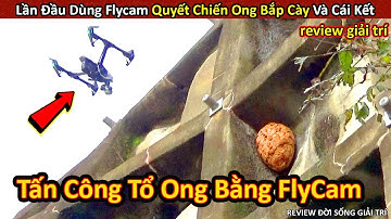 Lần Đầu Dùng FLYCAM Khiêu Chiến Tổ Ong Bắp Cày Và Cái Kết || Review Giải Trí Đời Sống