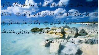 سورة الليل - علي الحذيفي