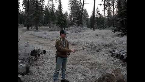 Trapping coyote frozen ground. 2020