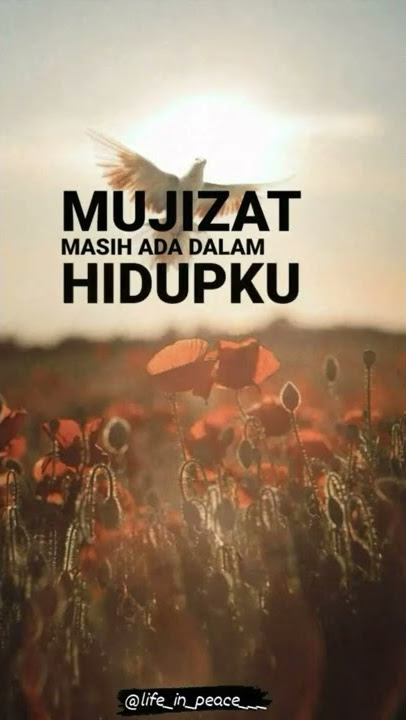 Story Wa Lirik Lagu Rohani Kristen 'Mujizat masih Ada' // Status Wa Lirik Lagu Rohani Kristen