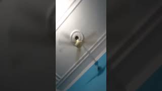 Day14#trending#shorts#video#love