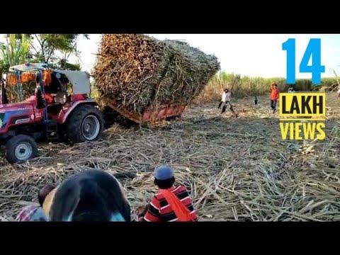 😱liva tractor trolly accident with 🙏Sugarcanes load,mahindra novo 605 di arjun,2020