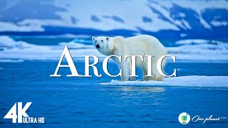Arctic 4K - расслабляющая музыка вместе с красивыми видеороликами (4K Video Ultra HD)