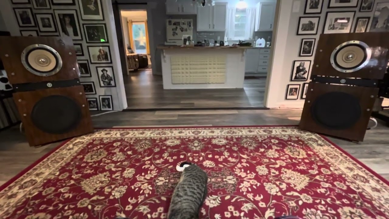 Lii Audio PT-10/W-15 / Decware Monoblocs / Cambridge Audio CXN (ModWright) / Grieg