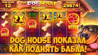 ИГРАЮ ВО ВСЕ ДОГ ХАУСЫ / ВПЕРВЫЕ СЛОВИЛ ТРИ ЗАНОСА ПОДРЯД В СОБАКАХ / ALL-IN В DOG HOUSE MEGAWAYS