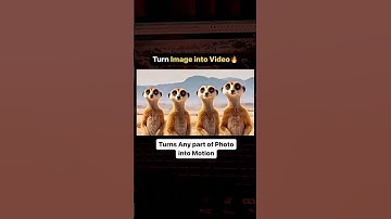Boost Your YouTube Views with AI: Thumbnail, Title, and Tag Optimization Tool
