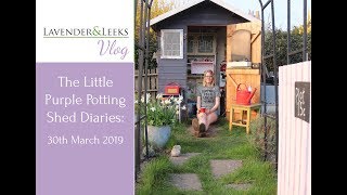 Lavender and Leeks Vlog - 30th March 2019 - The Little Purple Potting Shed Diaries