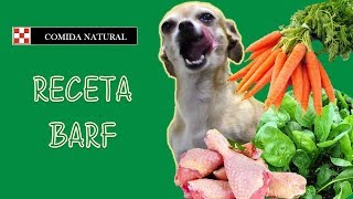 El Chihuahueño  Comida para Chihuahua  Recetas para Perros  como hacer comida para perros