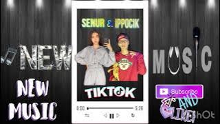 SENUR & IPPOCIK - TIKTOK ( Original audio MP3 )