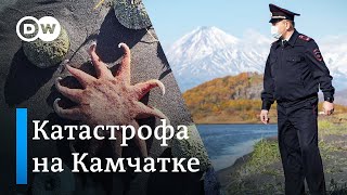 Экологическая катастрофа на Камчатке - какими могут быть последствия? Экологическая катастрофа на Камчатке - какими могут быть последствия?