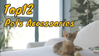 Top 12 Cats Accessories