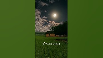من سورة النساء... القارئ : حاتم المالكي