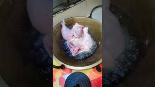 আম সবমর অজনত আমর পযরলইজড শবশরক গসল করতম,একদন তর শরর দখ সই দগ পরব শষ