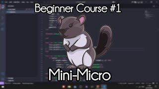 Beginner Guide For Mini-Micro | Creating a Clicker Game