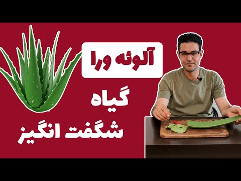 فواید آلوئه ورا | خواص آلوورا | آلوورا برای پوست