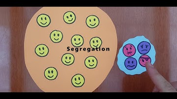Concepts: exclusion, segregation, integration, inclusion