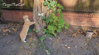 Why Wont You Talk To Me?