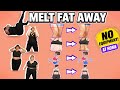 Easy Full Body Fat Melt at Home
