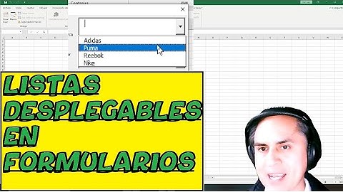 LISTAS DESPLEGABLES EN FORMULARIOS COMBOBOX1
