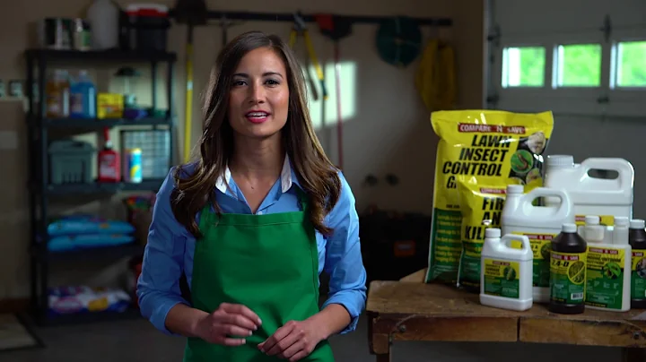 Compare N Save Lawn Indoor/Outdoor Concentrated Insecticide