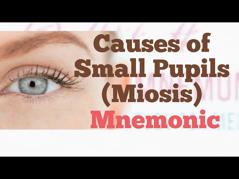 वीडियो: पोंटिन रक्तस्राव के कारण मिओसिस क्यों होता है?