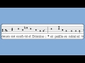 In Medio Ecclesiae (Common of Doctors, Introit)