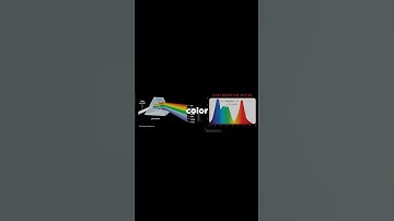 Can Science Explain The Color Red? 🤔