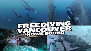 Full PNW Expeditions Howe Sound freediving adventure News
