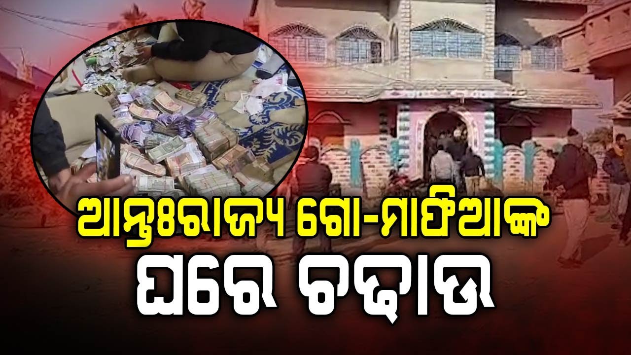 ଆନ୍ତଃରାଜ୍ୟ ଗୋ-ମାଫିଆଙ୍କ ଘରେ ଚଢଉ... | Cow Smuggling Case | Cow Smuggler | Odisha News | Argus Digital