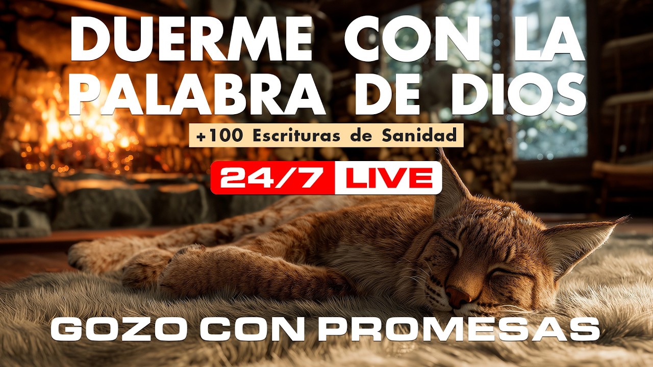 Biblia hablada trae paz al corazón. Salmos para escuchar, Antes de dormir, Dormir.