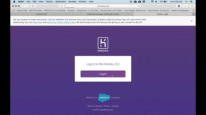 Using Heroku Config Vars