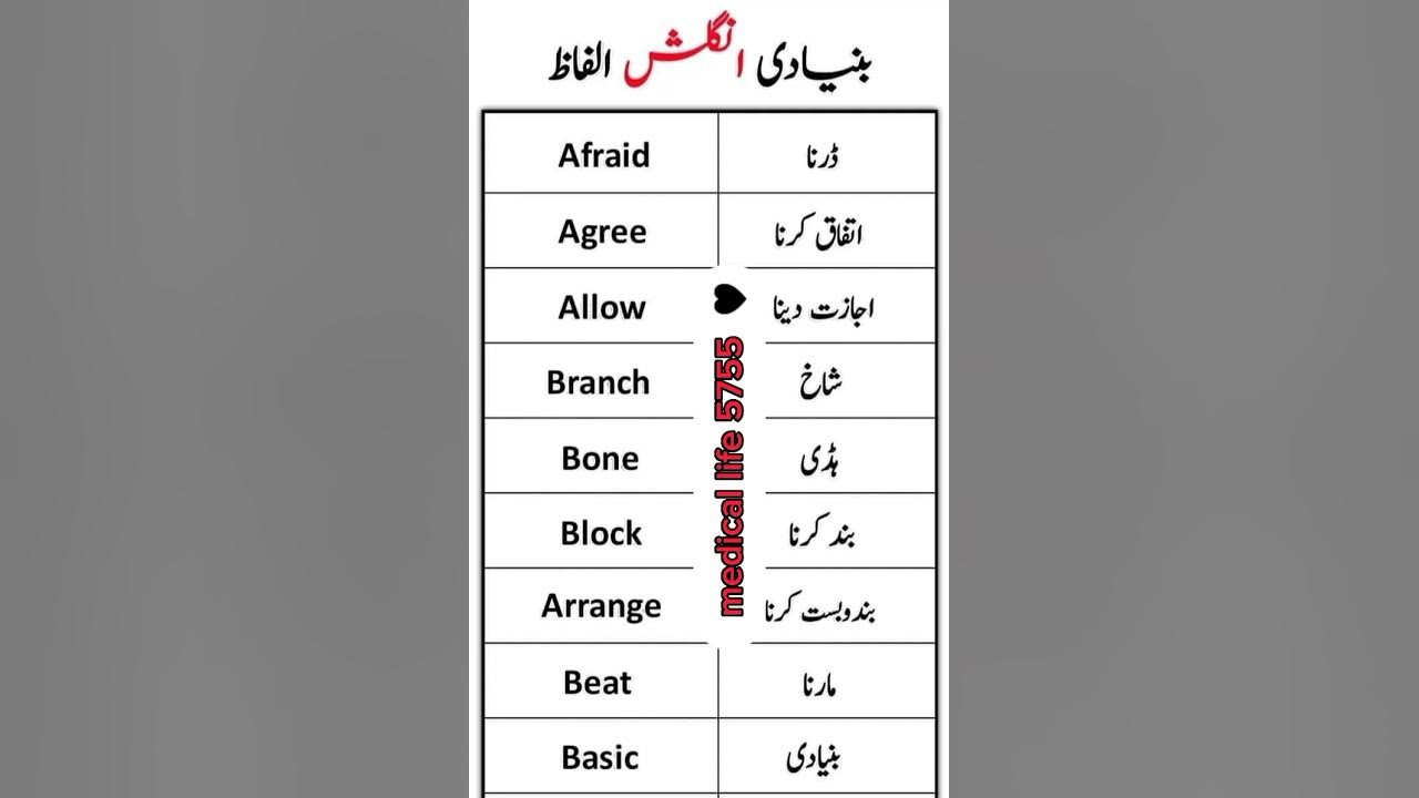daily-use-spoke-basic-english-words-meaning-in-urdu-shorts-youtube