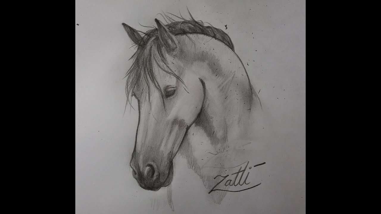 COMO DESENHAR UM CAVALO SIMPLES PASSO A PASSO - Desenhar Bonito