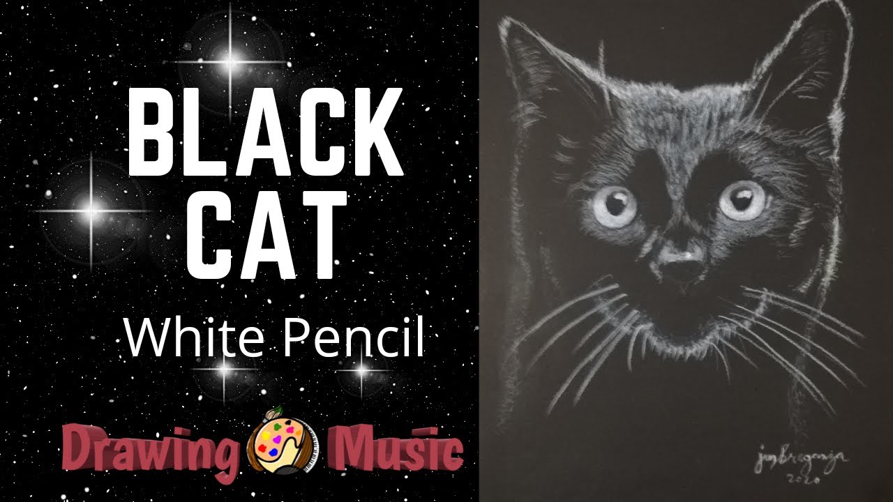 HOW TO DRAW A BLACK CAT | White on Black Paper by Jun Braganza - YouTube