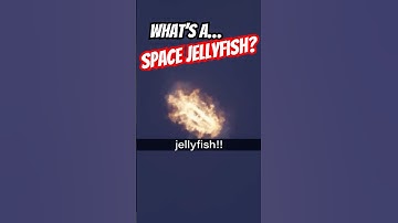 What Is A Space Jellyfish?