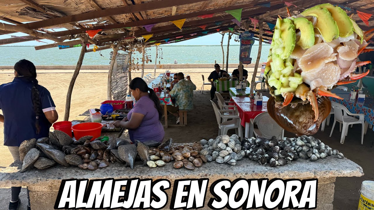 Encontré Dos tipos de callo en Mariscos de Yavaros