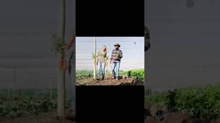 Agricultura organica Agricultura organica