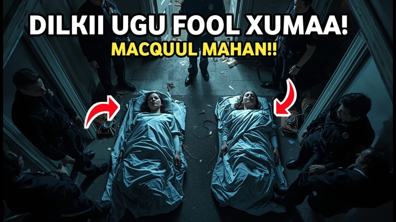 LABA MEYD AYAA LA HELAY SIDEY WAX UDHACEEEN? QISO MURUGA BADAN.