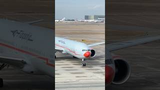 Stunning Retro Livery - American Airlines Centennial "Flagship"