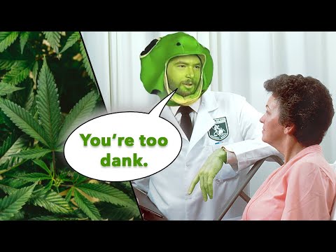 "IK HEB EEN ONKRUIDZIEKTE DING" - Therapy Gecko