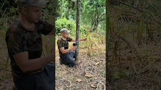 Com as câmeras em vários pontos registramos muitos animais #Animais #Natureza #camera