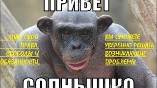 Хоум Кредит энд Финанс Банк отдел взыскания Ольга Александровна Панченко #118(, 2014-11-11T10:48:00.000Z)